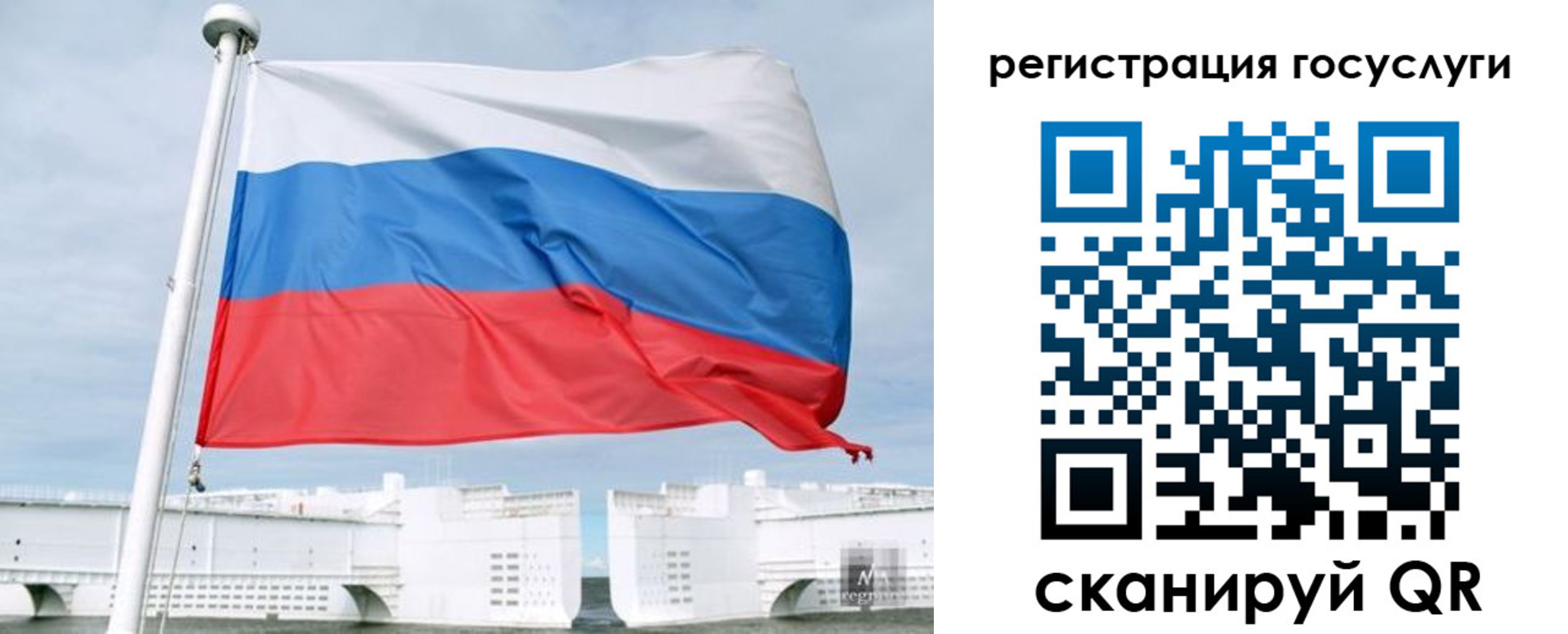 временная регистрация поиск в Зеленоградске
